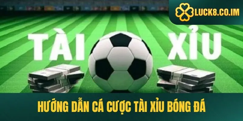 Hướng dẫn cá cược tài xỉu bóng đá