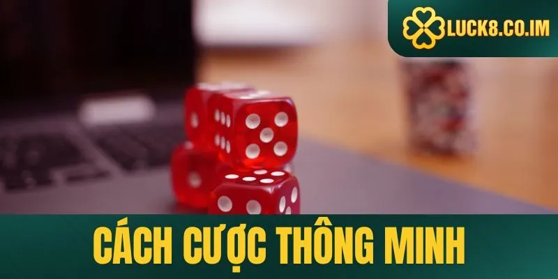 Cách cược thông minh khi chơi casino online