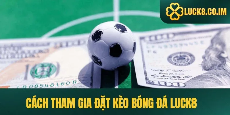 Hướng dẫn đặt kèo bóng đá Luck8 chi tiết